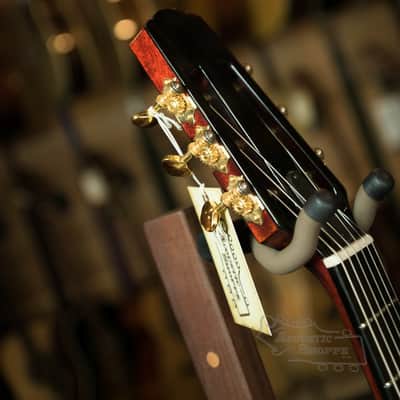 Eastman Vignola Signature Model FV680CE-SB image 17