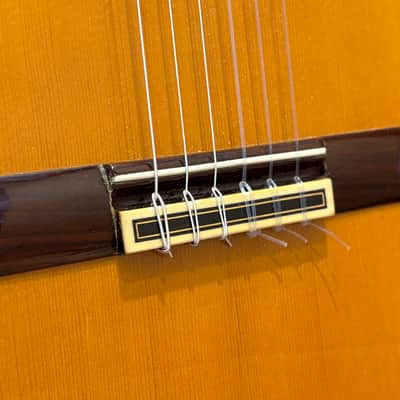 1987 Pedro Maldonado Classical Guitar image 4