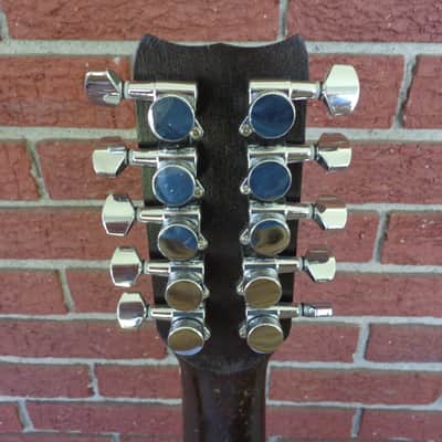1960's Jackson Guldan Cittern - 10 Strings in B Tuning - Fifths Tuning image 7