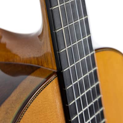 Guitarras Esteve Classical 12 - 630mm - Solid Wood - Cedar Top, Granadillo B&S - Handmade in Spain image 5