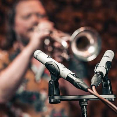 Universal Audio Standard SP-1 Small Diaphragm Cardioid Condenser Microphone - Matched Pair. New with Full Warranty! image 17