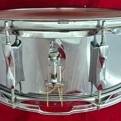 CONTEMPORANEA CO-PDMM095LCT [Pandeiro / Bossa Nova Model] | Reverb