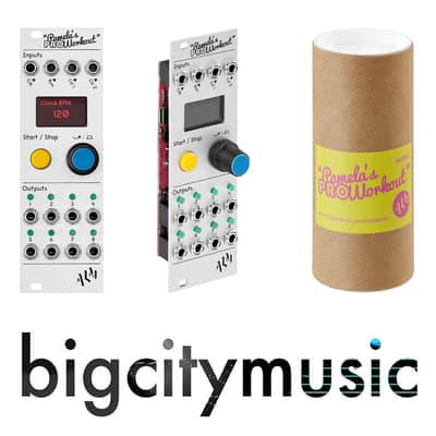 ALM/Busy Circuits ALM034 Pamela's Pro Workout Clocking Modulator