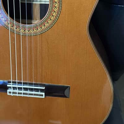 Antonio Aparicio AA100 guitar, Fustero tuners, All solid woods cedar top image 9
