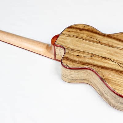 Cordoba 24T-CE Tenor Single Cutaway Acoustic-Electric Ukulele Cedar/Maple #32759 image 6