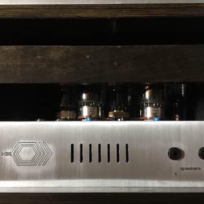 Hex Electrics Model X (Sunn Model T Clone) image 10