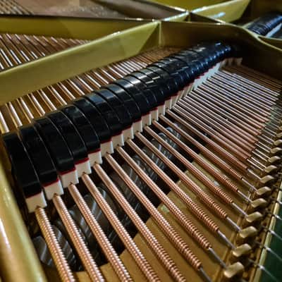 Restored Bechstein London Baby Grand Piano Walnut SP25940 - Sherwood Phoenix Pianos image 8