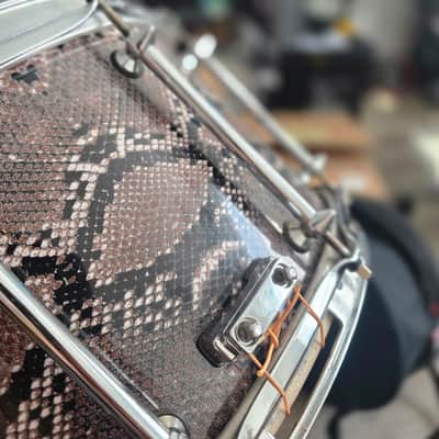 Pearl VP1480 14x8" Vinnie Paul Signature Maple Snare Drum 2010s - Snakeskin Graphic image 4