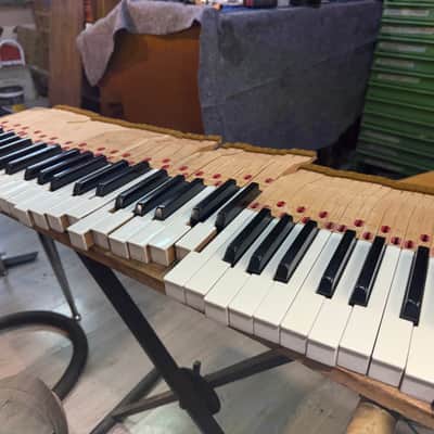 Wurlitzer 200A image 10