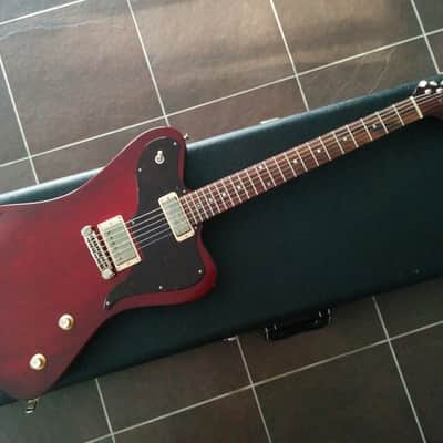 Echopark Ghetto Bird 2016 Case Study 2016 w/OHSC New Condition image 1