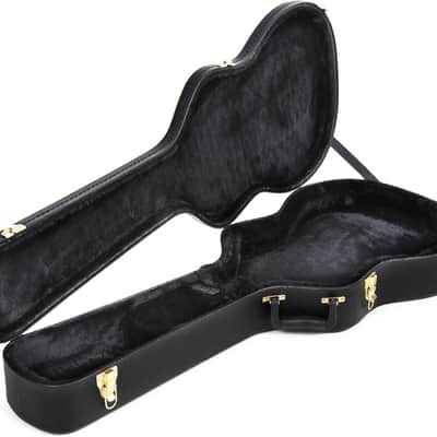 Ibanez AEG10C Hardshell Acoustic Guitar Case - AEG Series image 1