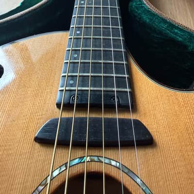 Parker P8E-N acoustic with case US CUSTOMERS TARIFF FRES ARE iNCLUDED IN SHIPPING COST AND PREPAID. image 2