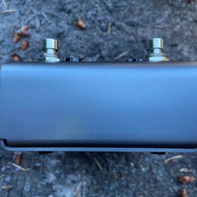 Strymon El Capistan V1 2016 image 6