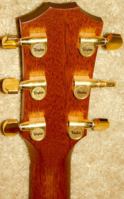 Taylor 514ce-L10 Acoustic/Electric Guitar*Fall Limited Edition