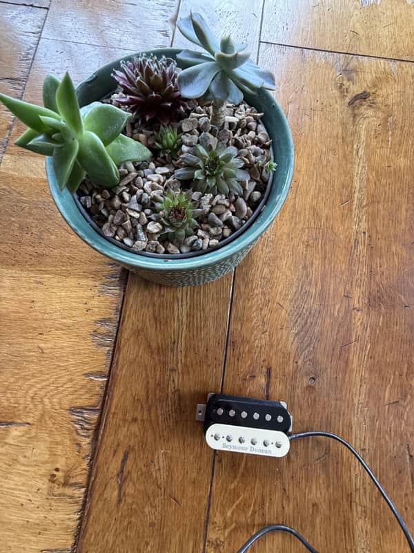 Seymour Duncan SH-4 JB Signature Humbucker