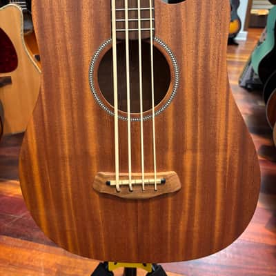 Gold Tone Micro Bass M-Bass25 image 2