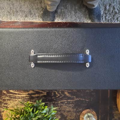 Friedman Runt 20 amp head 2ch image 4