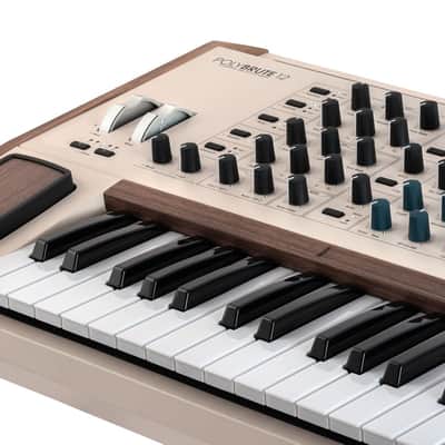 ARTURIA POLYBRUTE 12 : BRAND NEW :  [DETROIT MODULAR] image 7