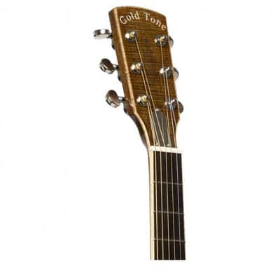 Résonateur Electro GOLD TONE GRE - Paul Beard image 7