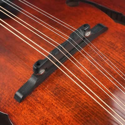 Eastman MD505CC/TV A Style Mandolin B-Stock image 6