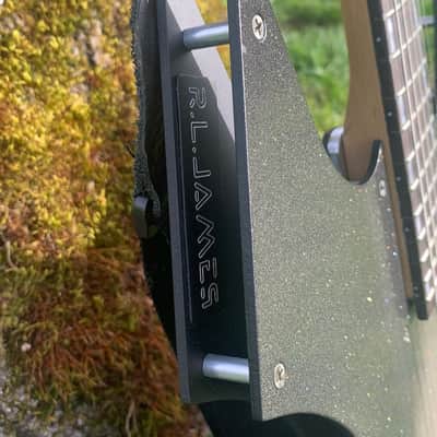 Custom R L James Guitar Custom Animal 2026 - Custom image 5