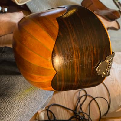 Unknown Bowlback Mandolin (needs nut) image 14