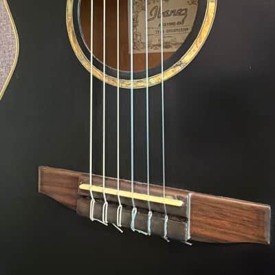 Ibanez AEG10NE Nylon Acoustic-Electric with Fishman Aura Pro Upgrade image 8