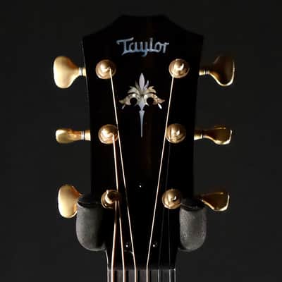 Taylor PS14ce Prototype - Natural Honduran Rosewood image 6