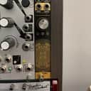 After Later Audio Auris (Mutable Instruments Ears Clone) 2023 - Black & Gold