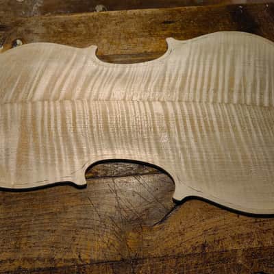 Fine Italian Violin 4/4 by Matteo Mazzotti Italy 2026 image 14