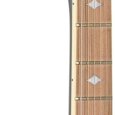 Michael Kelly Custom Collection Patriot Instinct Bold Electric Guitar, Pau Ferro Fingerboard image 12