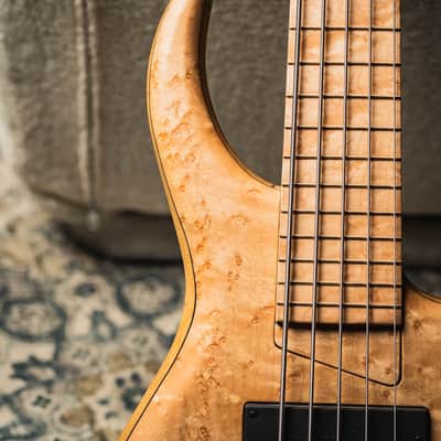 MTD 535-24 US Custom 30th Anniversary-Birdseye Maple 10 Top (Black Limba Body) w/Birdseye Maple Fingerboard image 4