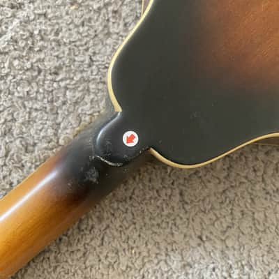 Honey Burst 8 String Mandolin Project, Spruce Top, Mahogany Body, Rosewood Fingerboard image 5