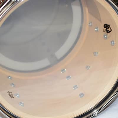 DW Collector's Exotic Santa Monica Copper Glitz image 6