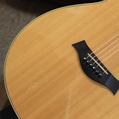 2012 Taylor GS8e Spruce & Rosewood Acoustic Guitar Natural + OHSC image 4