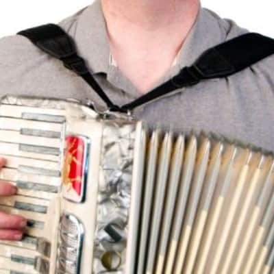 Neotech Pad-It Accordion Straps image 3