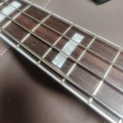 Lakland "Dudepit" Special Order P Bass w/ Darkstar pickup image 17