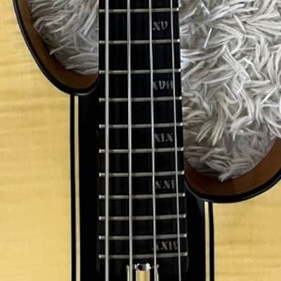 Schecter Model C-4 GT 4-String Electric Bass Guitar w/EMGs, Satin Natural image 4