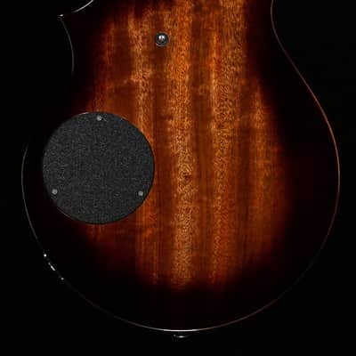 Rick Turner Model T Bass Anigre Top Bass Guitar-5623-8.50 lbs image 4