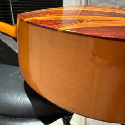 Vintage Bowlback 12 String Mandolin - Mandriola / Trichord image 13