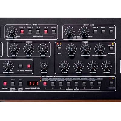 SEQUENTIAL PROPHET 10 DESKTOP : BRAND NEW :  [DETROIT MODULAR] image 4