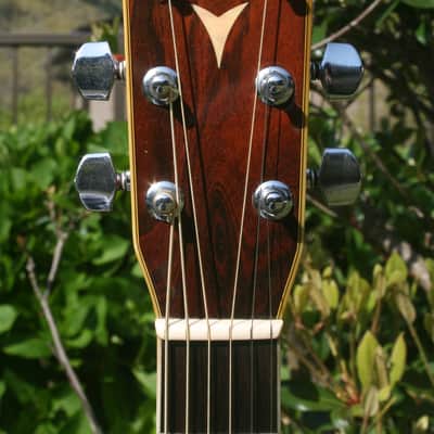 1986 Yairi D 35 YW-500P - Natural+Hard Case image 11