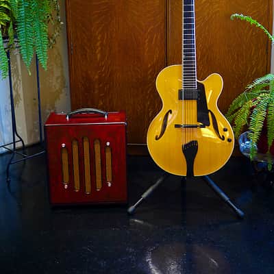 SeQuel RAVINE™ Jazz Tube Amp [to the Manhattan Guitar Club] image 5