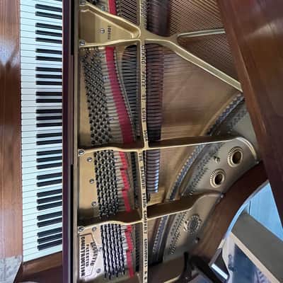 Baldwin M 1964 - Walnut image 17