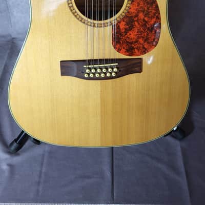 MSA CW 1300 – 12-String Acoustic-Electric Guitar | Perfect for Beginners image 1