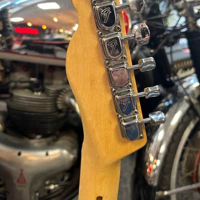 Fender Telecaster Thinline Mahogany 1972 image 16