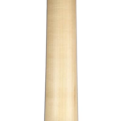 Taylor Academy Series A10E Dreadnought image 9
