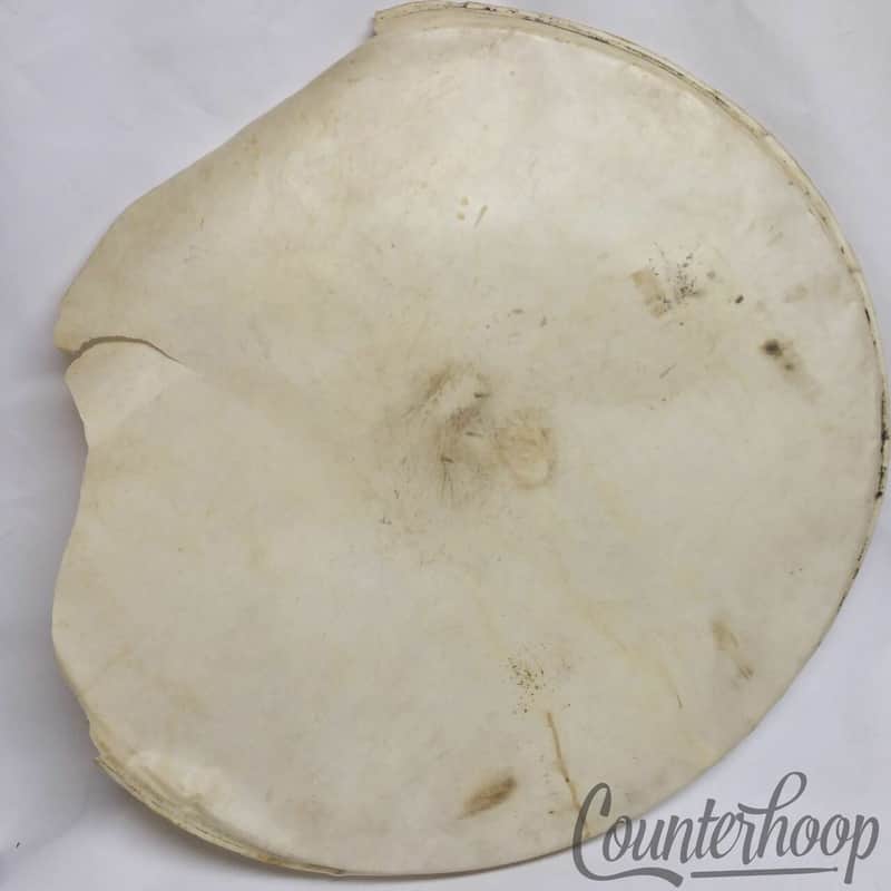 *Ludwig 25" Calf Skin Bass Drum Head Calfskin 20" Retuck Project Vintage 30s USA image 1