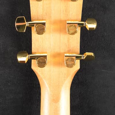 Taylor 224ce-K DLX Shaded Edgeburst image 9