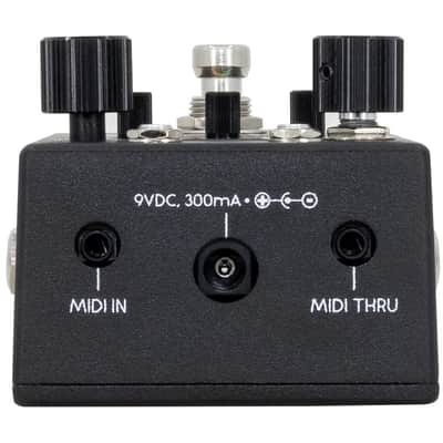 Walrus Audio CANVAS-REHEARSAL End-OF-Chain Rehearsal Pedal, Metronome W/ Tap Tempo, Headphone amp and Bluetooth streamer image 4